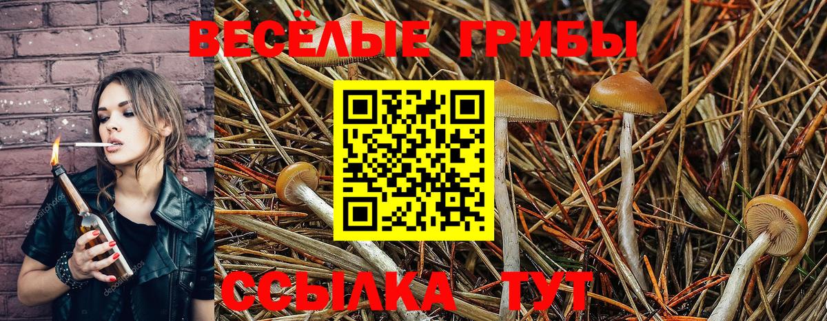 Соликамск  Галлюциногенные грибы прущие грибы  Галлюциногенные грибы Psilocybine cubensis  купить наркоту  Вход с VPN 
